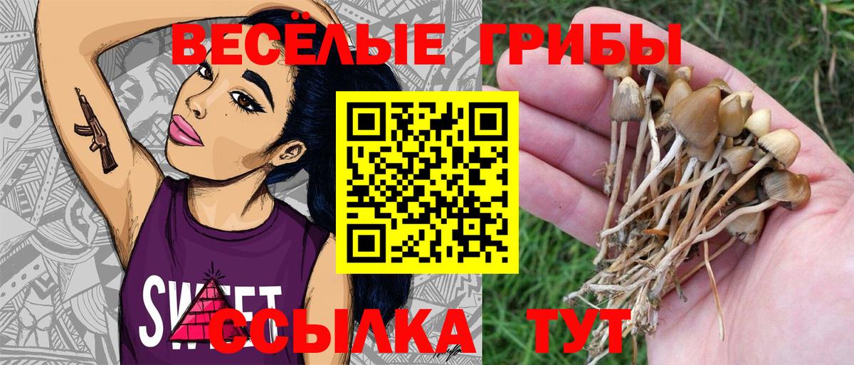 Галлюциногенные грибы Psilocybe  Галлюциногенные грибы GOLDEN TEACHER  Знаменск  Вход с VPN 
